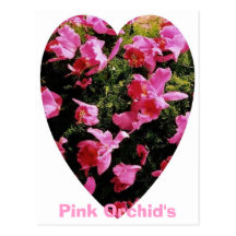 Pink Orchid's, post card