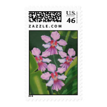 Pink Orchids Postage Stamp