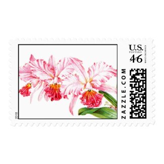 Pink Orchid Postage Stamps