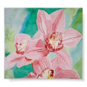 pink orchids posters