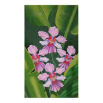 Pink Orchids posters by myhome71 Pink Orchids posters