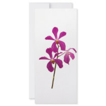 Pink Orchids Full Color Rack Card
