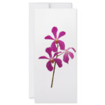 Pink Orchids Full Color Rack Card