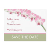 Pink Orchids Save the Date postcards postcard