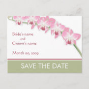 Pink Orchids Save the Date postcards postcard