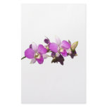 Pink orchids stationery design