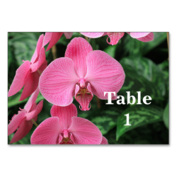 Pink Orchids Table Card