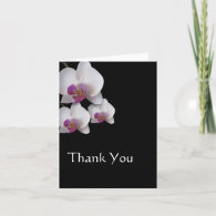 Pink Orchids Thank You Note Greeting Cards