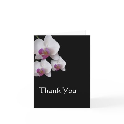 Pink Orchids Thank You Note Greeting Cards