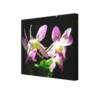 Pink Orchids Wrapped Canvas