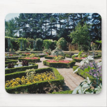 Pink Ornamental box garden, Leicester flowers Mousepads