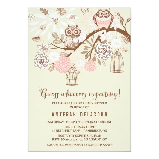 Pink Owls and Birdcages Baby Shower Invitation (front side)