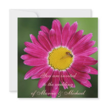Pink Painted Daisy Custom Invite