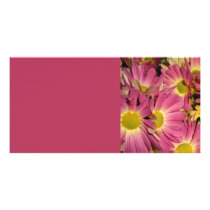 Pink Pansies Photo Card
