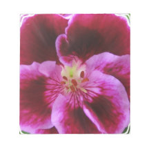 Pink Pansy Notepad