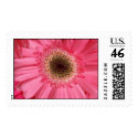 Pink Panther postage