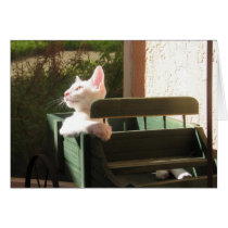Pink Panther Rides Again cards
