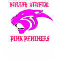 Pink Panther t-shirts