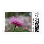 Pink Paper Daisy Flower Stamp