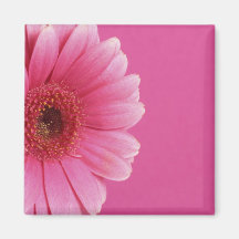 Pink Passion Magnet