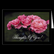 Pink Pastels Roses cards