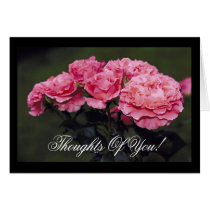 Pink Pastels Roses cards