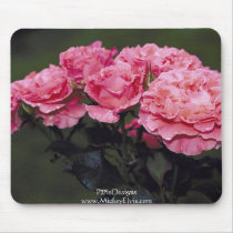 Pink Pastels Roses mousepads