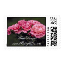 Pink Pastels Roses postage