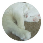 Pink paw pads Stickers stickers