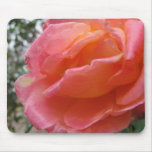 Pink Peach Rose Mousepad