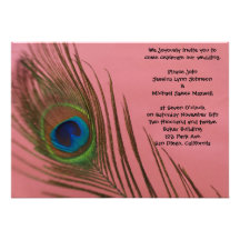 Pink Peacock Wedding Announcement