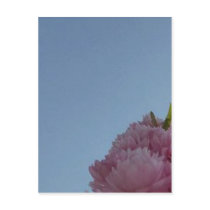 Pink Peek postcards by PhotographybyMelanie Pink Peek postcards