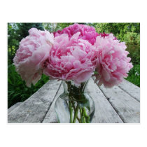 Pink Peonies / Peony Flowers Arrangement in Vase postcards