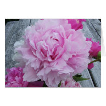 Pink Peonies / Peony Notecard cards