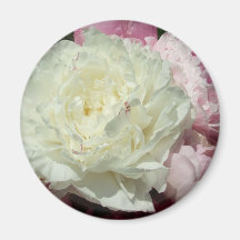 Pink Peonies / Pink Peony Fridge Magnet