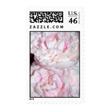 Pink Peonies Stamp