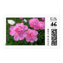 Pink Peonies stamp by bkang22 Pink Peonies stamp