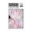 Pink Peonies Stamp by isouz59 Pink Peonies Stamp