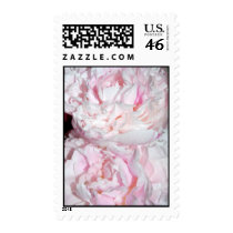 Pink Peonies Stamp by isouz59 Pink Peonies Stamp