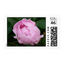 Pink Peony Bud Postage