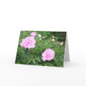 Pink Peony cards