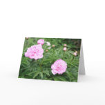 Pink Peony cards