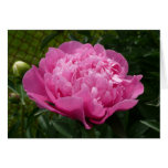 charity, invite, invitation, party, love, romance,