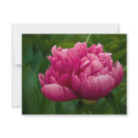 Pink Peony Card / Invitation