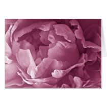 Pink Peony Closeup cards by DocPixel Pink Peony Closeup cards