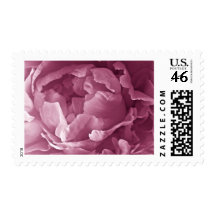 Pink Peony Closeup Stamps