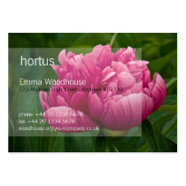 Pink Peony DSC1623 business cards