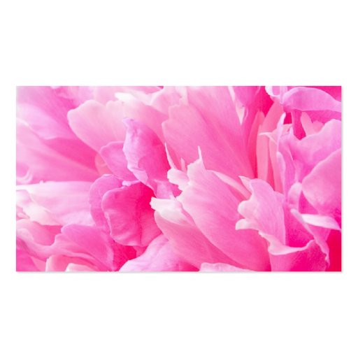 Pink peony flower floral business or profile card business card