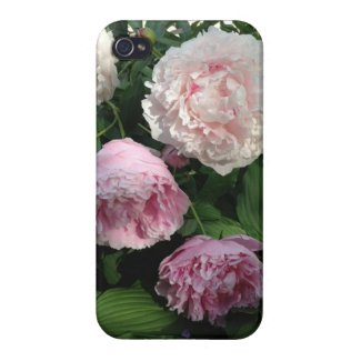Pink Peony Flower Iphone4 Case iPhone 4 Cover