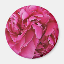 Pink Peony Flower Refrigerator Magnet